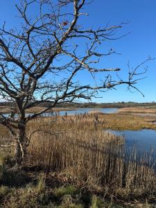 Cosy Cabins at Westfield Farm, Isle of Wight
