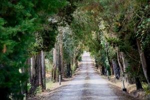 Quinta da Alcaidaria Mor