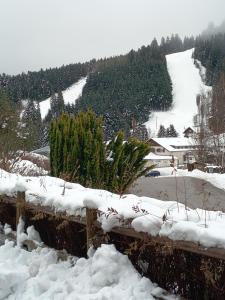 Duplex Étoilé Tout Confort Aux Pieds Des Pistes - Gérardmer