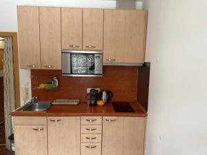 Horský apartmán 332 - Deštné v Orlických horách