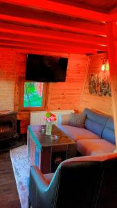 Sapanca Kırmızı Hobbit Evi