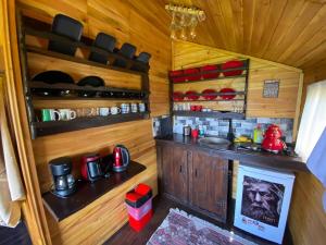 Sapanca Kırmızı Hobbit Evi