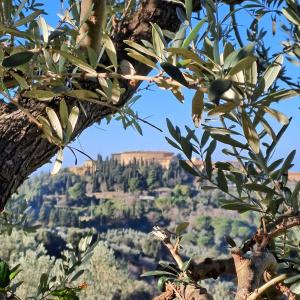 Agriturismo Bellavista apt La Pergola