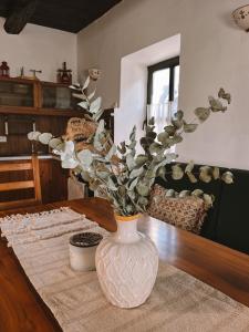 Our little paradise in Bovec - Naš mali raj