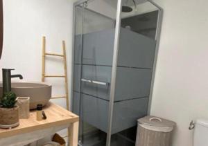 Le Dognin - centre ville - ferry - eurotunnel