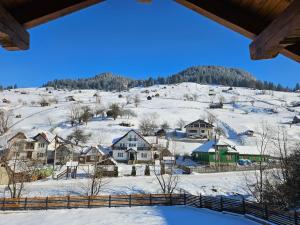 Wolf Chalet - Moieciu de Sus