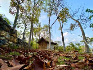 Enjoy Sunrise Pacitan Private Cabin