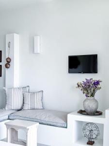 Villa Alisachni Andros