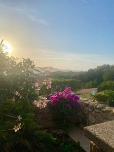 Orsa sul mare a Baja Sardinia img33