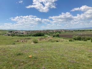 Brymonte Studio, Sunny Day 6