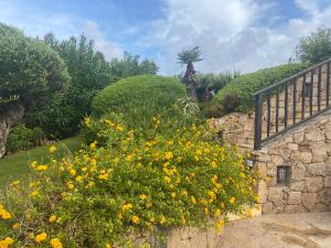 Orsa sul mare a Baja Sardinia img40