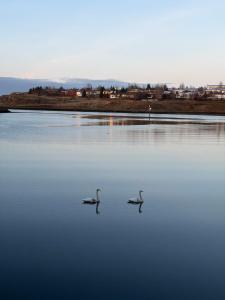 Cozy ocean front apartment