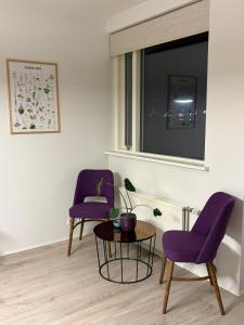 Cozy ocean front apartment