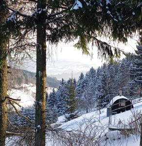 Chatka na Przełęczy