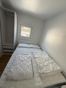 Hiška Moravska ravnica