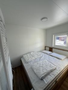 Hiška Moravska ravnica