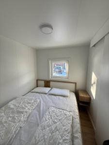 Hiška Moravska ravnica