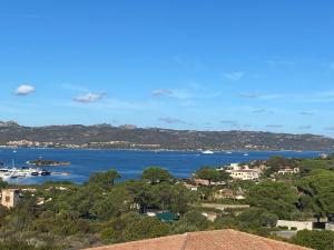 Orsa sul mare a Baja Sardinia img56