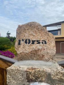 Orsa sul mare a Baja Sardinia img67