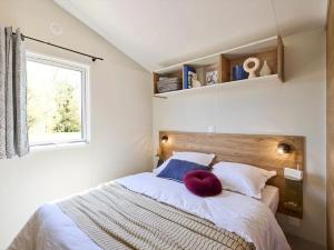 Mobilehome Evasion 54