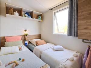 Mobilehome Evasion 54