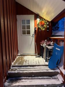 In the heart of the Northern Lights