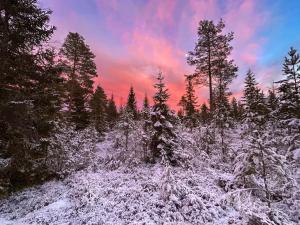 Farmstay Götes Cabin, 2p