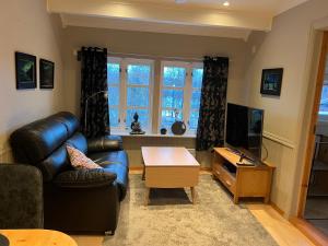 In the heart of the Northern Lights