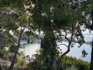 Bandol T3 RDJ Plage 5 mn à pied-Port 10 Mn-Parking