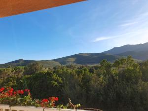 CAP CORSE VILLA VUE MER et MONTAGNE