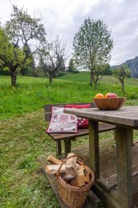 Dolomiapartments - Bosco Fontana 1