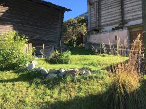 La Roua apartment - quiet, unspoiled nature