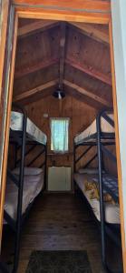 Los Coihues camping & hostel