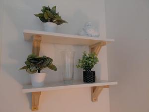 Departamento 2 ambientes en el centro, cerca de playas y casino