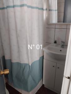 Alojamiento Javiera Carrera 01