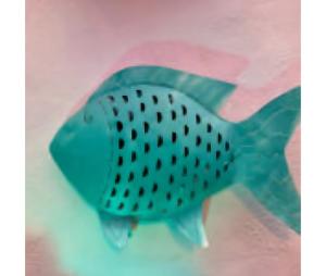 Hostal Santa Catalina