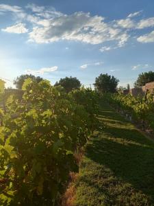 Entre fincas alojamiento rural