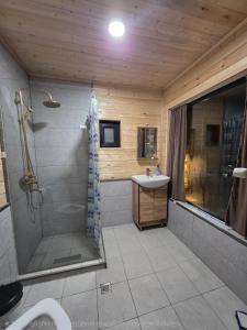Chalet Gudauri