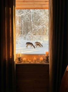 LakeView DomekNaKaszubach