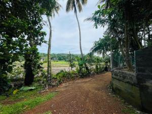green view villa