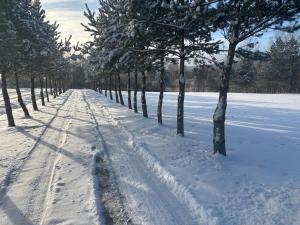 Apartament u kucharzy Łysica 1