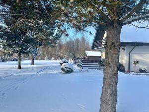 Apartament u kucharzy Łysica 1