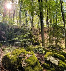 Haus Sommerseitn Ruhe-Natur-Genuss