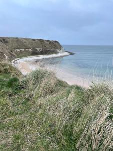 Driftwood Cosy quirky seaside hideaway