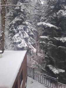 Legend Home Yaremche