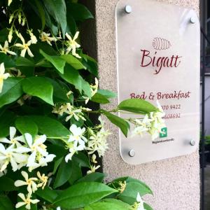 Bigatt Bed & Breakfast