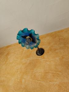 Il MoRo Tanca Piras img13