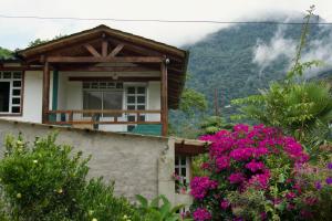 La Paila - Life Refuge