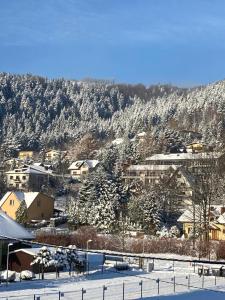 Apartament Studio 100 metrów do Kolejki na Skrzyczne Myśliwska 98