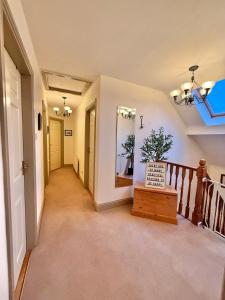 The Willows in Kerry